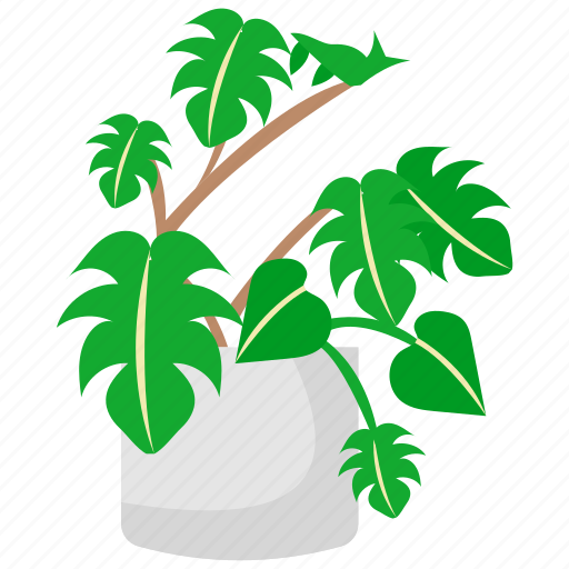 Houseplants, plant, pot, flower, nature, green, tree icon - Download on Iconfinder