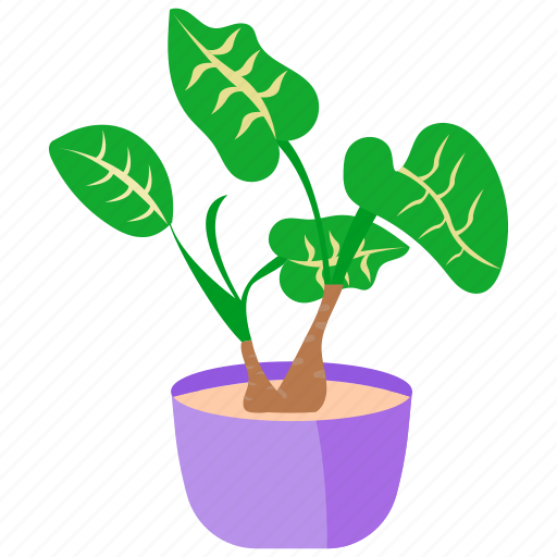 Houseplants, plant, pot, flower, nature, green icon - Download on Iconfinder
