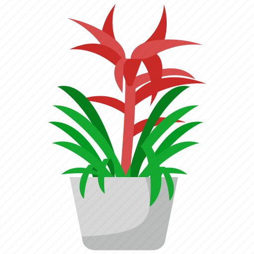 Houseplants, plant, flower, nature, green, leaf, tree icon - Download on Iconfinder