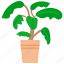 houseplants, plant, pot, flower, nature, green, leaf, tree, growth 