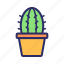 cactus, nature, plant, pot 