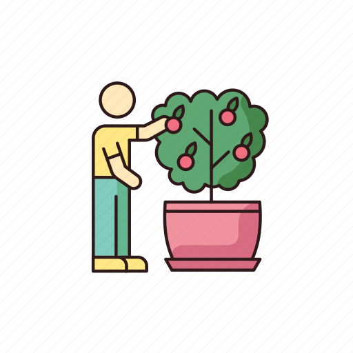 Care, citrus, collect, fruit, houseplant, miniature, tree icon - Download on Iconfinder