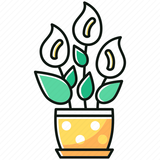 Blooming, decorative, flower, houseplant, peace lily, plant, tropical icon - Download on Iconfinder