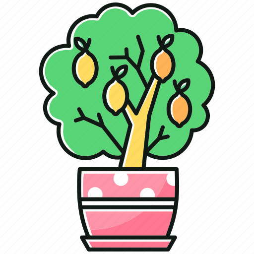 Citrus, decorative, fruiting, houseplant, lemon tree, miniature, plant icon - Download on Iconfinder