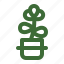baby jade, jade plant, crassula ovata, plant 