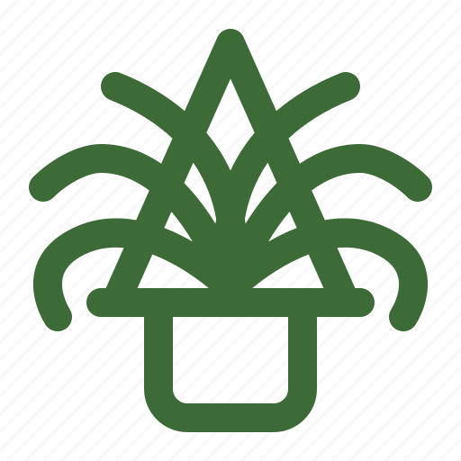 Spider plant, spider ivy, indoor plant, hanging plant icon - Download on Iconfinder