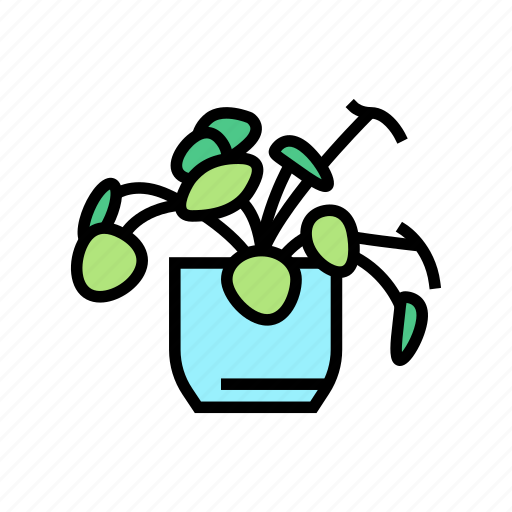 Natural, plant, houseplant, house, store, sale icon - Download on Iconfinder