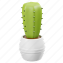 cactus, plant, houseplant, plant pot, indoor plant, leaf, leaves, pot, decoration 