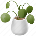 plant, houseplant, plant pot, indoor plant, leaf, leaves, pot, decoration, pilea peperomioides 