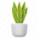 snake, plant, houseplant, plant pot, indoor plant, leaf, leaves, pot, decoration 