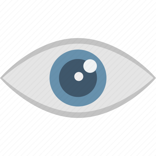 Biometric recognition, eye scanning, iris scan, retina scanner icon - Download on Iconfinder