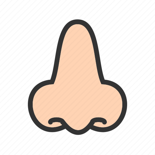 Care, face, human, nose, nostril, skin, smell icon - Download on Iconfinder