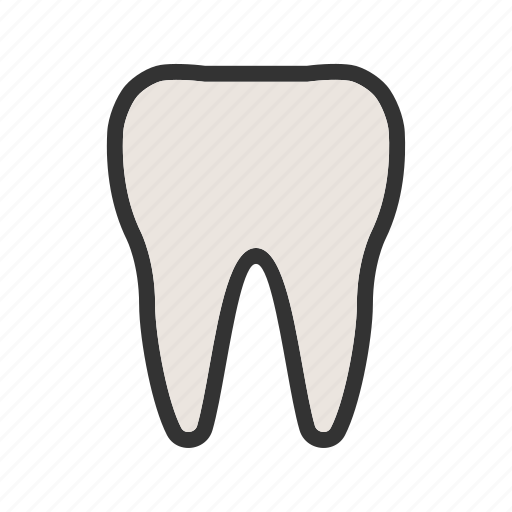 Clean, dental, dentist, hygiene, mouth, teeth, tooth icon - Download on Iconfinder