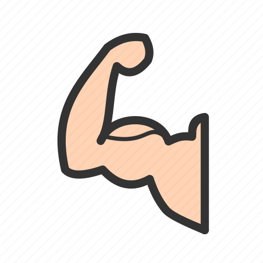 Anatomy, arm, biceps, body, fitness, flexing, muscle icon - Download on Iconfinder