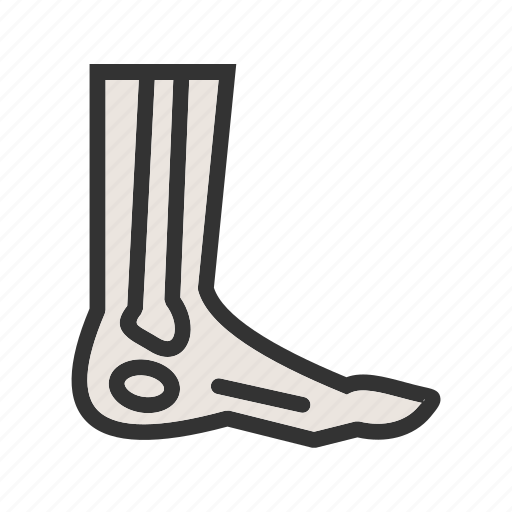 Body, feet, fingers, foot, health, nails, toe icon - Download on Iconfinder