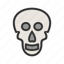 face, head, human, medical, skeleton, skull