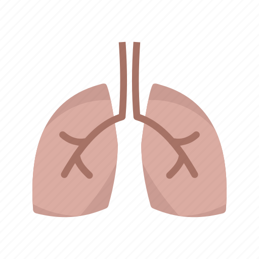 Breathe, bronchi, chest, healthy, lungs, pulmonary, respiration icon - Download on Iconfinder