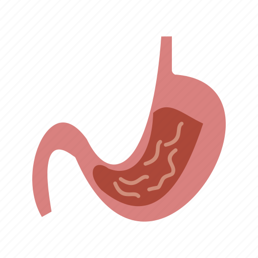 Constipation, digestion, human, medical, organ, pain, stomach icon - Download on Iconfinder