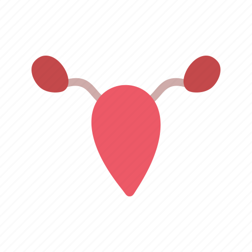 Female, ovaries, ovary, ovulation, reproductive, uterus icon - Download on Iconfinder