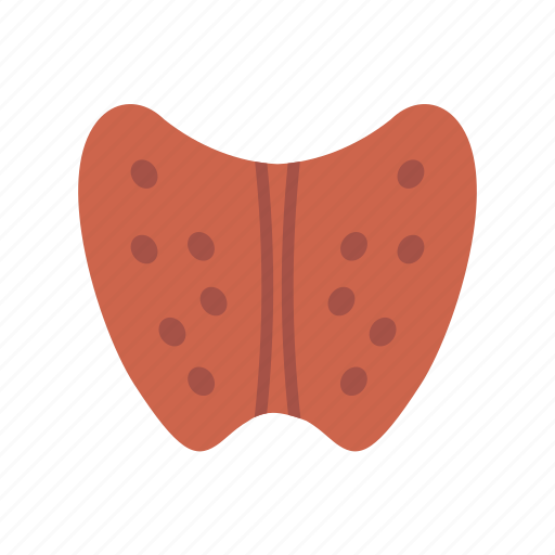 Care, healthy, human, medicine, science, thyroid icon - Download on Iconfinder