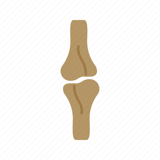 Arthritis, bone, healthy, human, joint, knee, pain icon - Download on Iconfinder