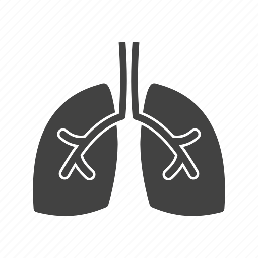 Breathe, bronchi, chest, healthy, lungs, pulmonary, respiration icon - Download on Iconfinder