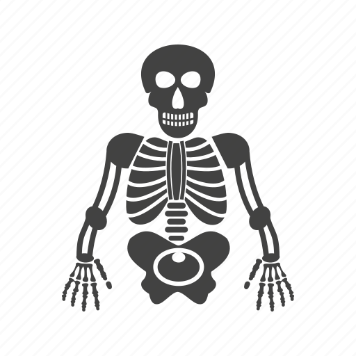 Anatomy, body, human, medical, skeleton, skull icon - Download on Iconfinder
