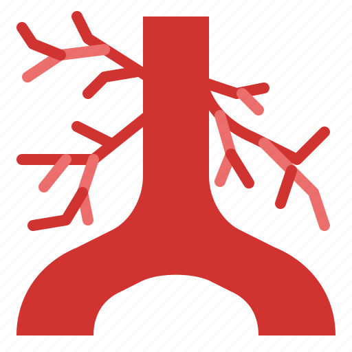 Artery, body, organ, anatomy, human, parts icon - Download on Iconfinder