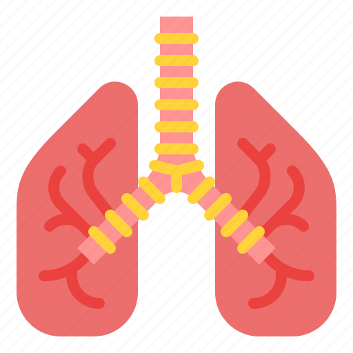 Lungs, body, organ, anatomy, human, parts icon - Download on Iconfinder