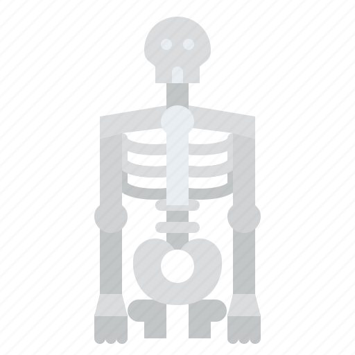 Skeleton, body, organ, anatomy, human, parts icon - Download on Iconfinder