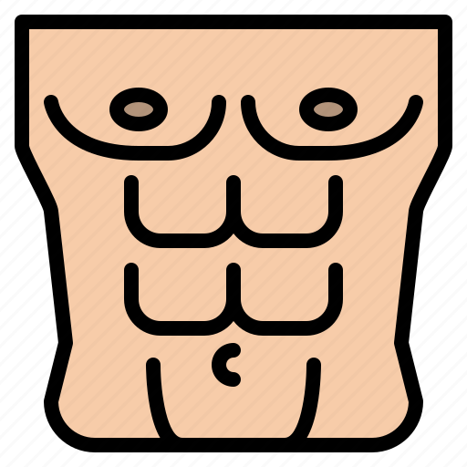 Abs, body, organ, anatomy, human, parts icon - Download on Iconfinder