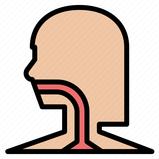 Esophagus, body, organ, anatomy, human, parts icon - Download on Iconfinder