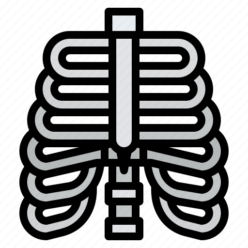 Rib, body, organ, anatomy, human, parts icon - Download on Iconfinder