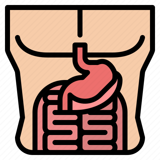 Stomach, body, organ, anatomy, human, parts icon - Download on Iconfinder