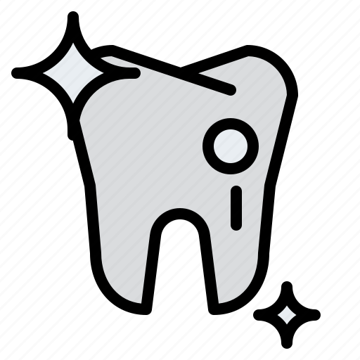 Tooth, body, organ, anatomy, human, parts icon - Download on Iconfinder