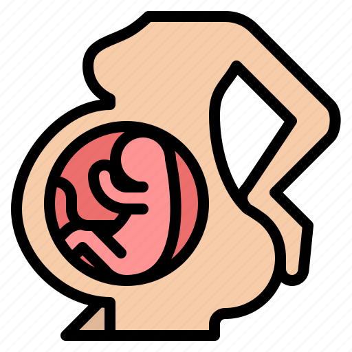 Uterus, body, organ, anatomy, human, parts icon - Download on Iconfinder