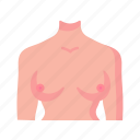 breast, female, body, part, anatomy