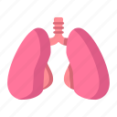 lungs, breath, anatomy, organ