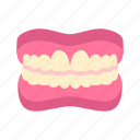 teeth, gums, tooth, dentist