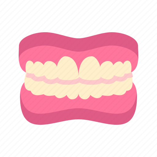 Teeth, gums, tooth, dentist icon - Download on Iconfinder