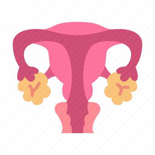 Uterus, ovaries, organ, anatomy icon - Download on Iconfinder