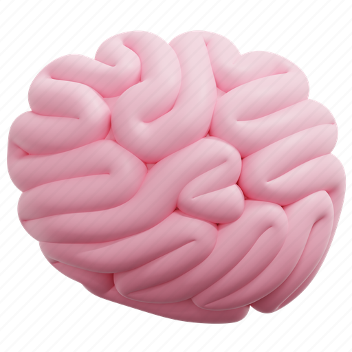 Brain, body, idea, intelligence, internal, mind, organ 3D illustration - Download on Iconfinder