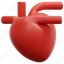 heart, organ, transplant, medical, healthcare, body, part, hearts, 3d, element 