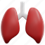 lung, lungs, breath, healthcare, medical, anatomy, organ, 3d, element 
