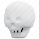 skull, scary, skeleton, anatomy, bone, part, body, 3d, illustration 
