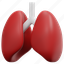 lung, lungs, breath, healthcare, medical, anatomy, organ, 3d, illustration 