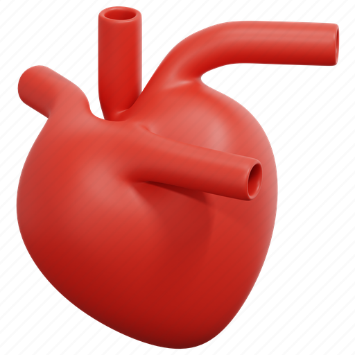 Heart, organ, transplant, medical, healthcare, body, part 3D illustration - Download on Iconfinder
