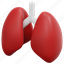 lung, lungs, breath, healthcare, medical, anatomy, organ, 3d, object 