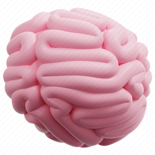 Brain, body, idea, intelligence, internal, mind, organ 3D illustration - Download on Iconfinder