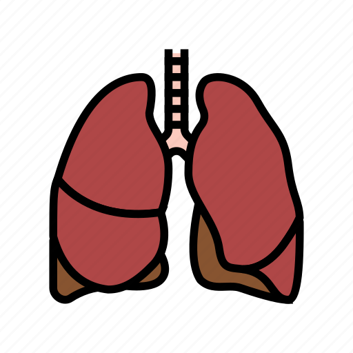 Lung, human, organ, internal, anatomy, stomach icon - Download on Iconfinder